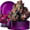 Rainbow Gelato Wizard Trees Kaufen Online